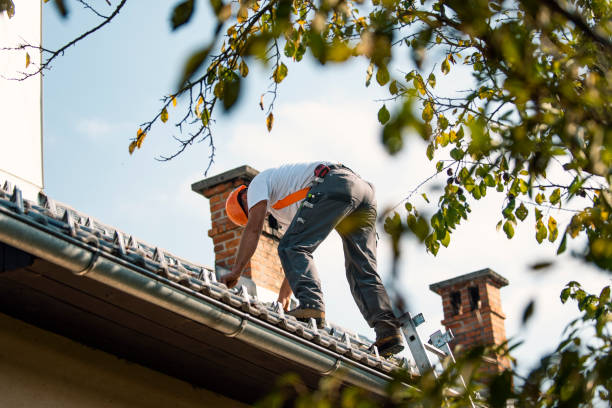 Quick and Trustworthy Emergency Roof Repair Services in Clearwater, SC