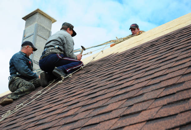 Roof Gutter Cleaning in Clearwater, SC